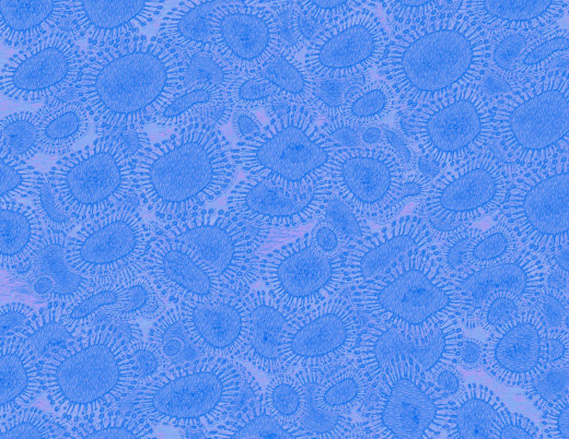 691003 (a): :3200x2473